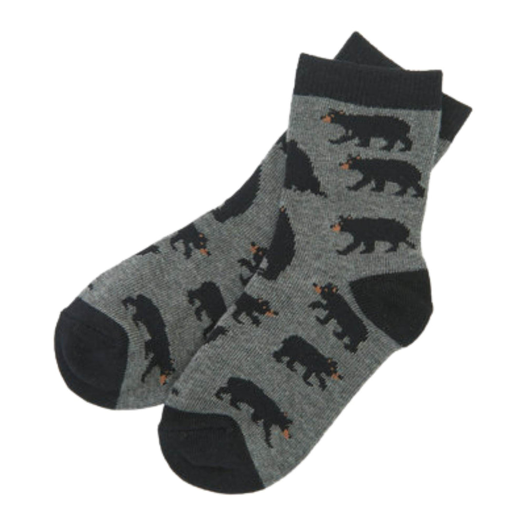 Chaussettes grises avec ours noirs pour enfant par Petite maison bleue par Hatley