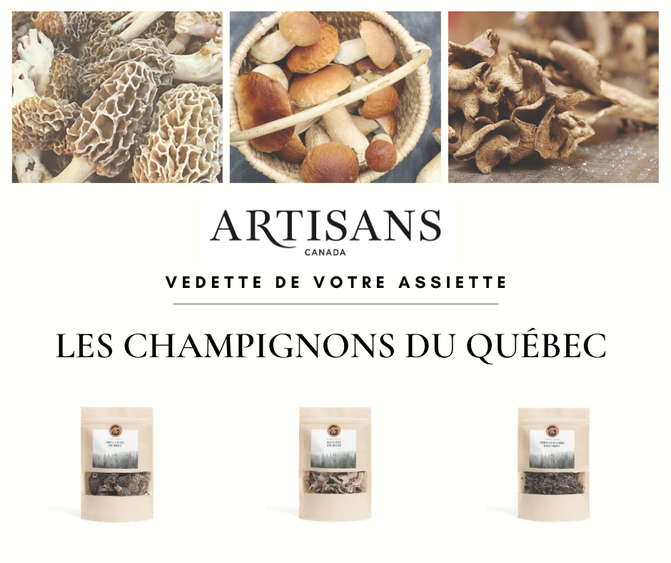 Vedette de votre assiette - Les champignons du Québec - Les bolets