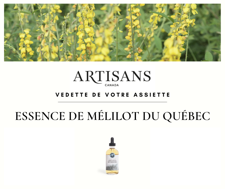 Vedette de votre assiette - Essence de mélilot