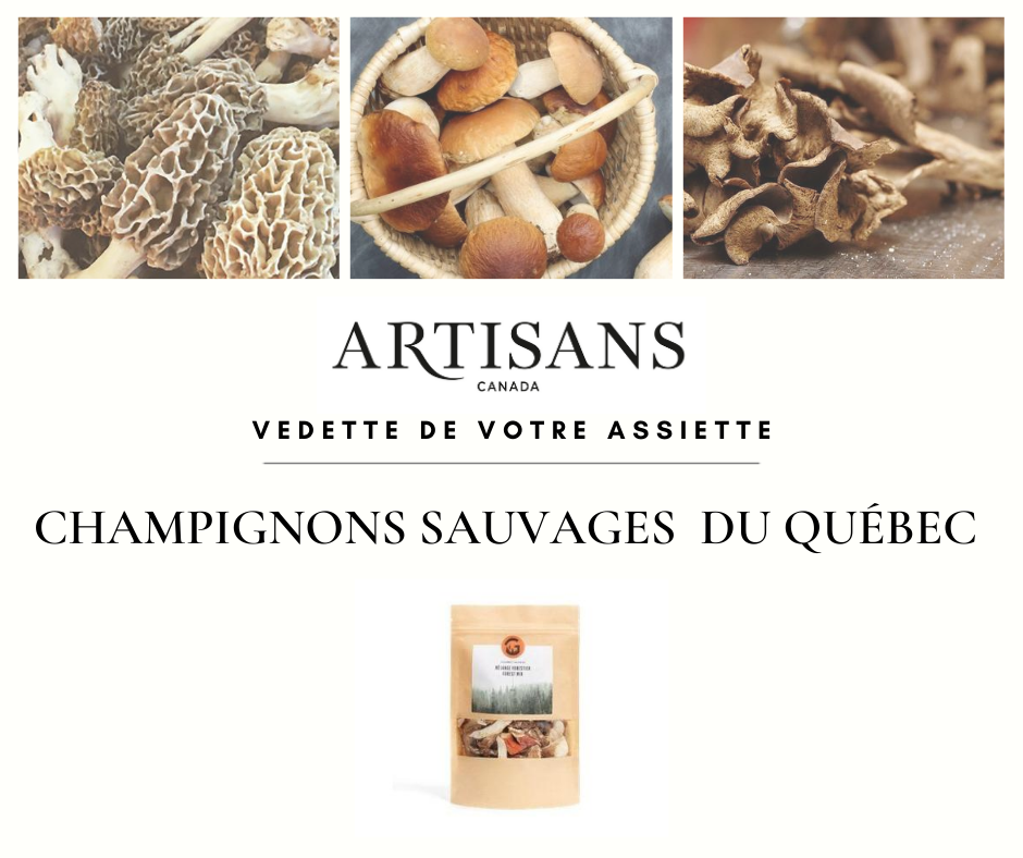 Vedette de votre assiette - Pâte aux champignons sauvages du Québec